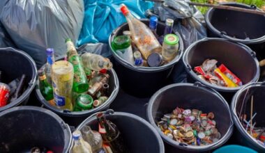 Mexico’s Small Retailers Push Sustainability, Recycling Practices
