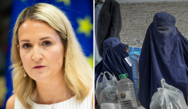TD slams government over Garda intercultural training hypocrisy