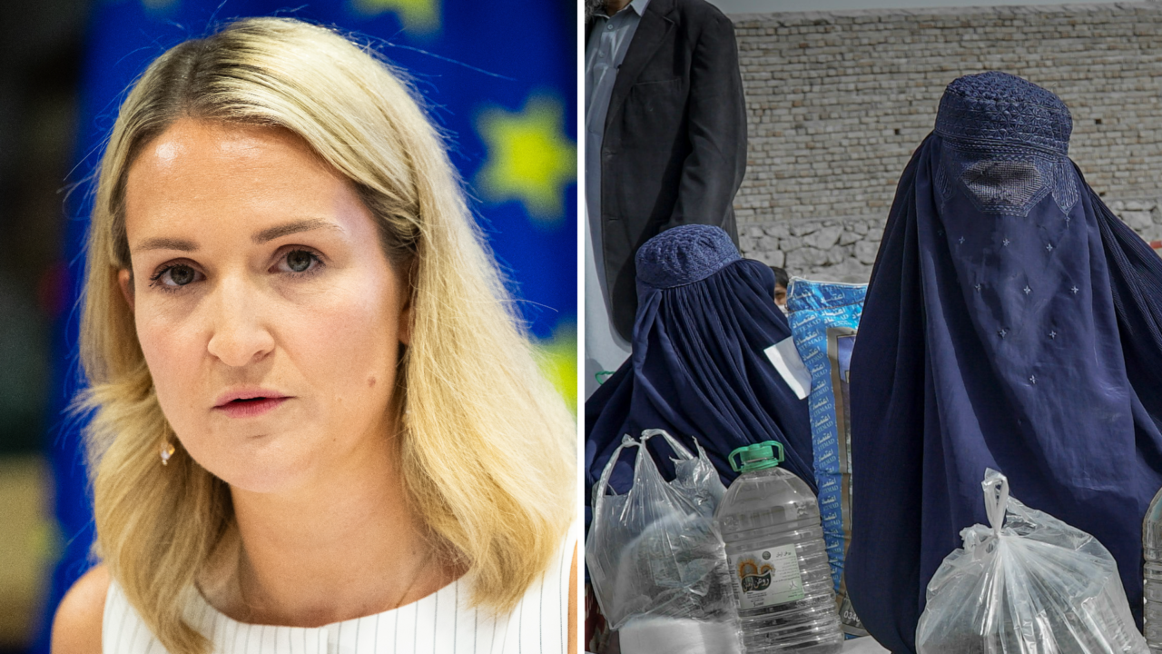 TD slams government over Garda intercultural training hypocrisy