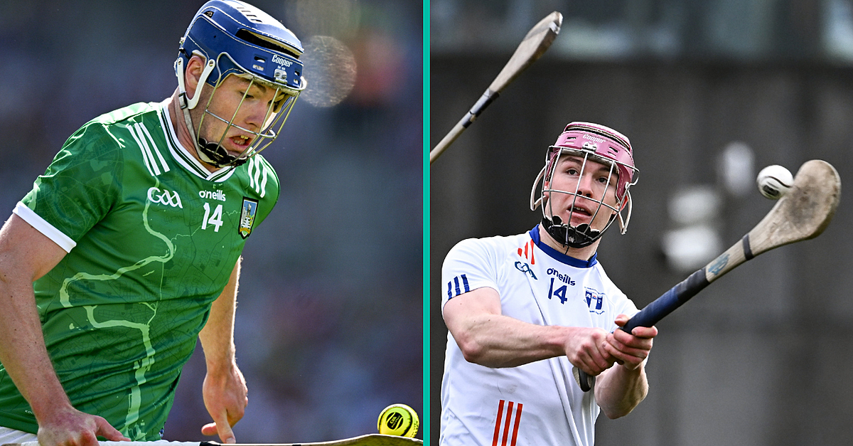 Limerick Star Makes Major College Switch After Fitzgibbon Final Heroics