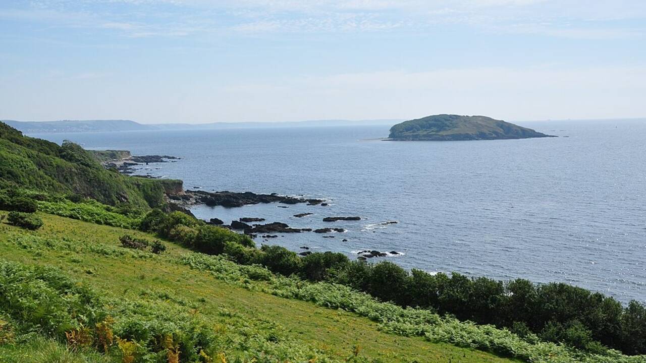 View of the Looe Island. Image credits: Wikimedia Credits Looe Island from a small boat off shore 1