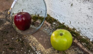 Engineers Create a Strange 'Lying Mirror' That Could One Day Hide Objects in Plain Sight : ScienceAlert