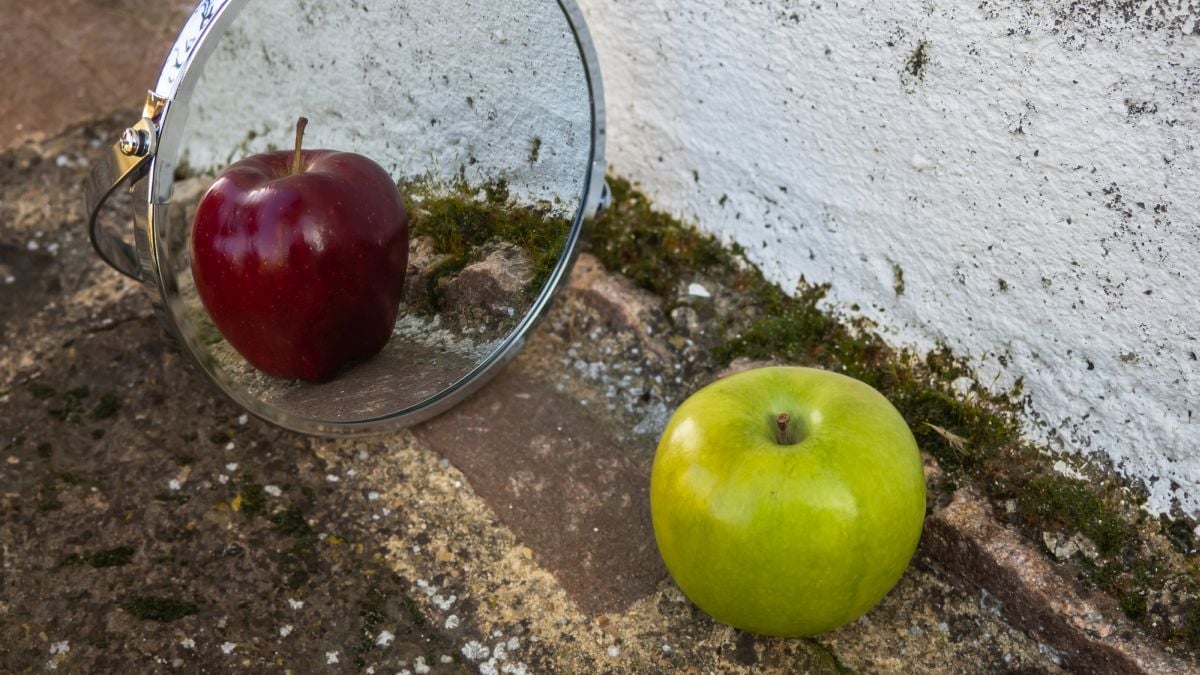 Engineers Create a Strange 'Lying Mirror' That Could One Day Hide Objects in Plain Sight : ScienceAlert