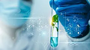 Iranian researchers develop bacterial "transistors" to enable intelligent plant systems