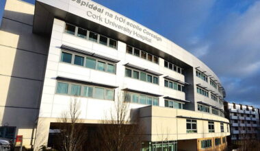 Man dies after getting into difficulty in water in Co Cork