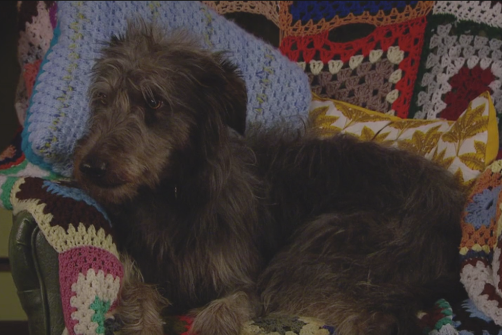 Monty, Emmerdale Monty, Emmerdale
