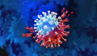 COVID-19 awakens dormant viruses — and one is linked to long COVID