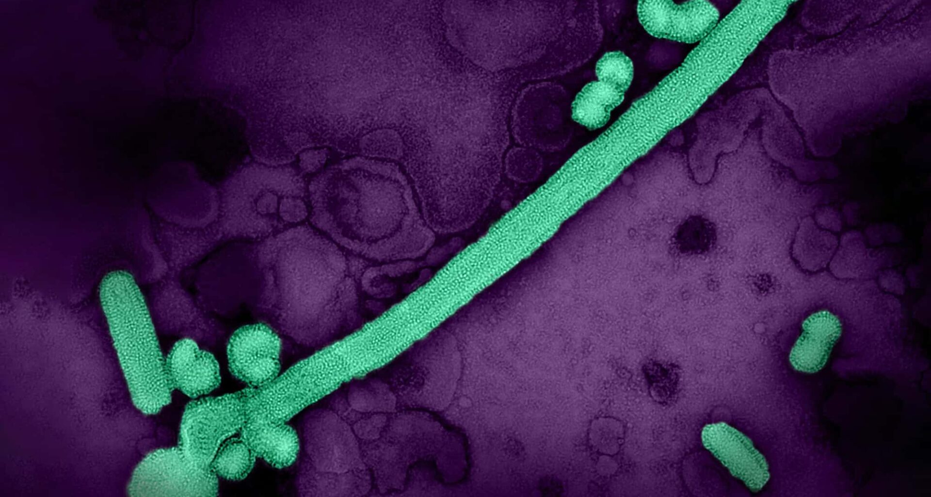 FDA Approves First mRNA Flu Vaccine