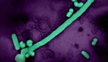 FDA Approves First mRNA Flu Vaccine