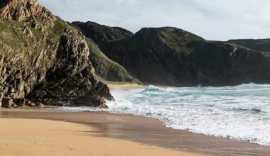 Over half of tourism operators have reported a downturn in business this year