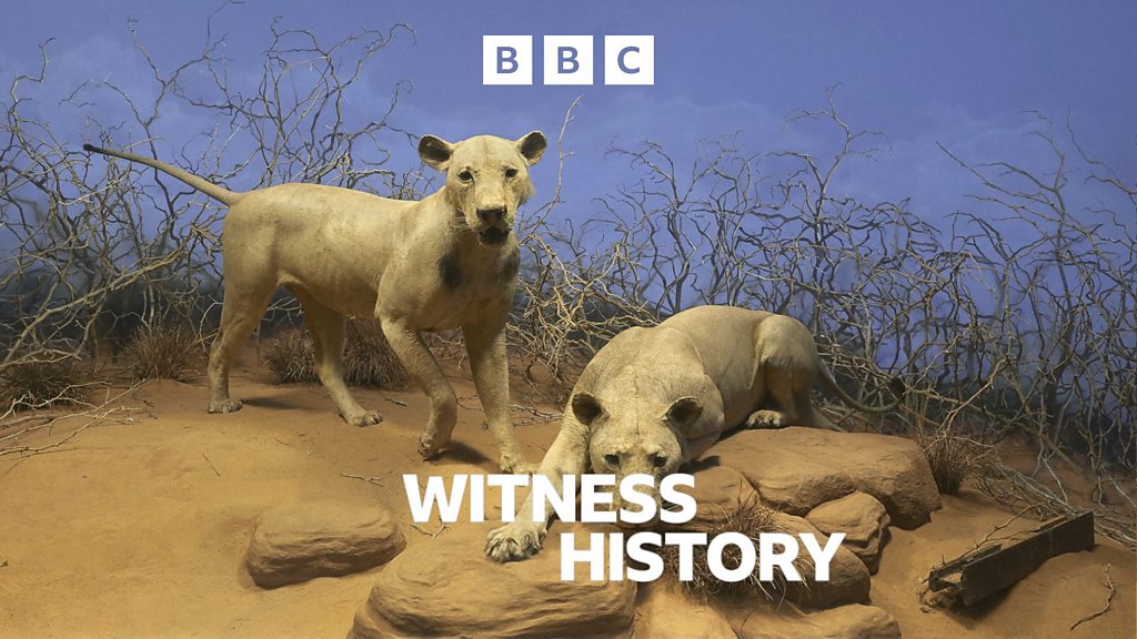 Witness History, Finding the den of the Tsavo man-eaters