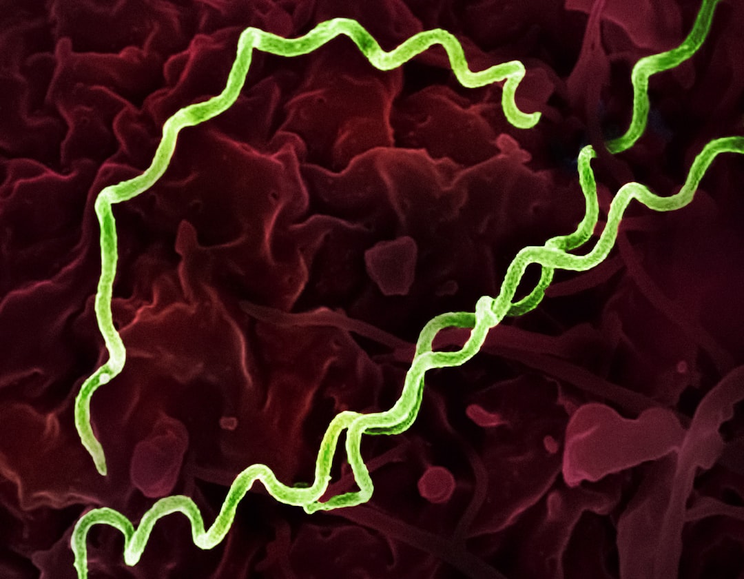 Chile reports historic high in syphilis cases in 2025