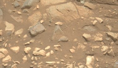 Mars dust is toxic. How will future astronauts deal with it?