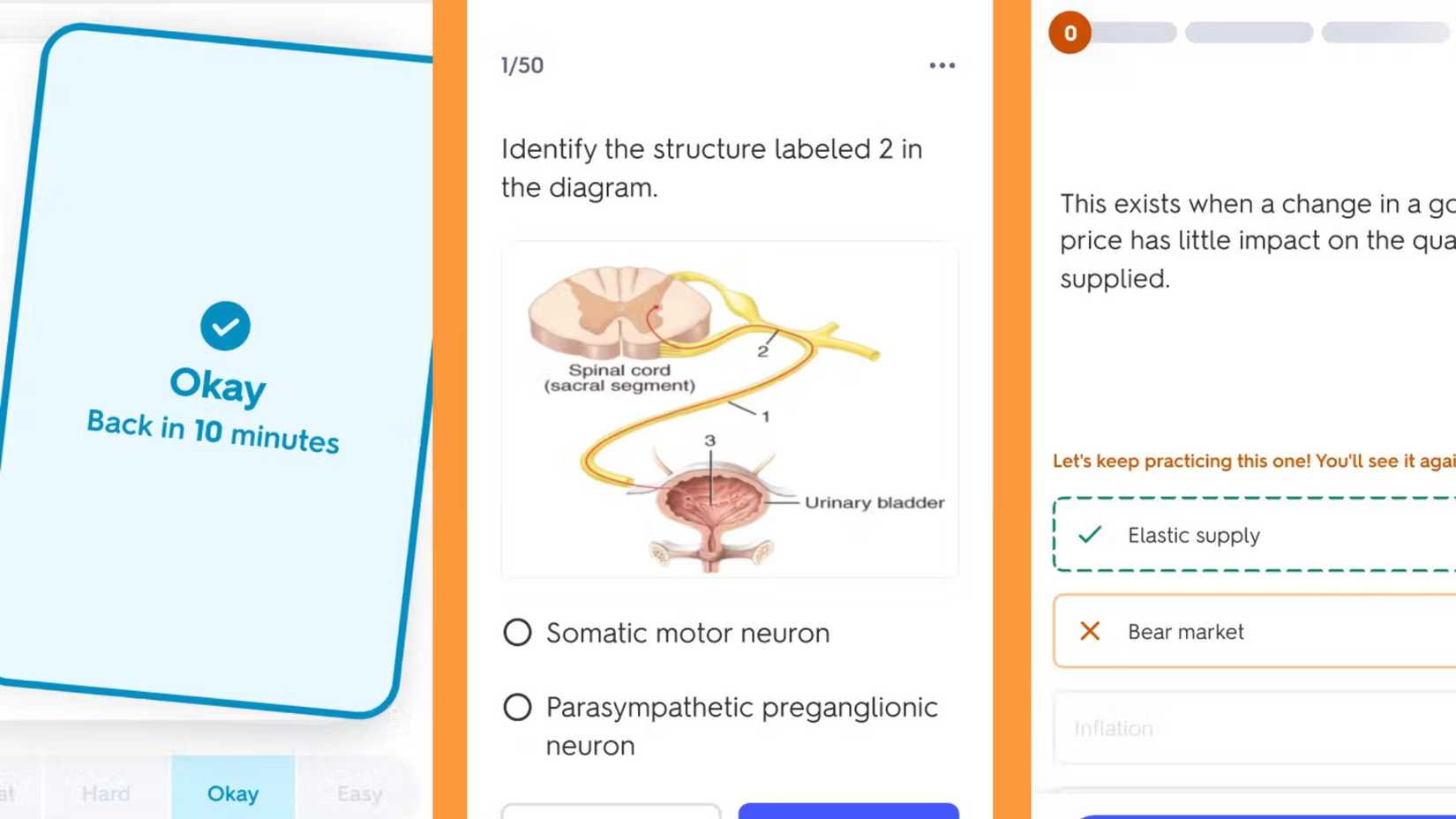 Quizlet being used to learn about the human body