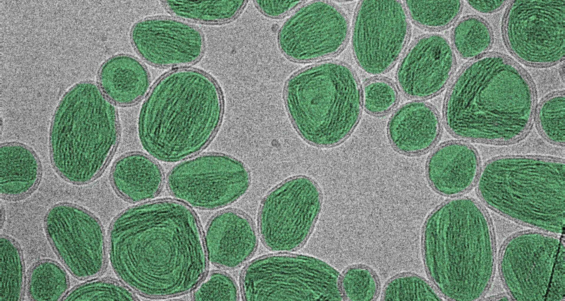 NIST Fixes Common Error in Nanotech Measurements