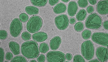 NIST Fixes Common Error in Nanotech Measurements