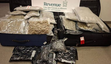 Social worker denied bail over €950,000 drug seizure at Dublin Airport