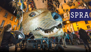 spraoi festival parade image on the street in Waterford
