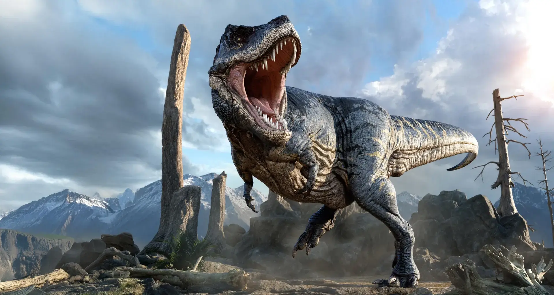 Did T. rex leave these 66-million-year-old bite marks?