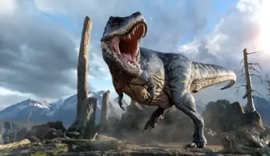Did T. rex leave these 66-million-year-old bite marks?