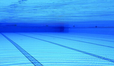 Team Ireland finish Championship with five medals