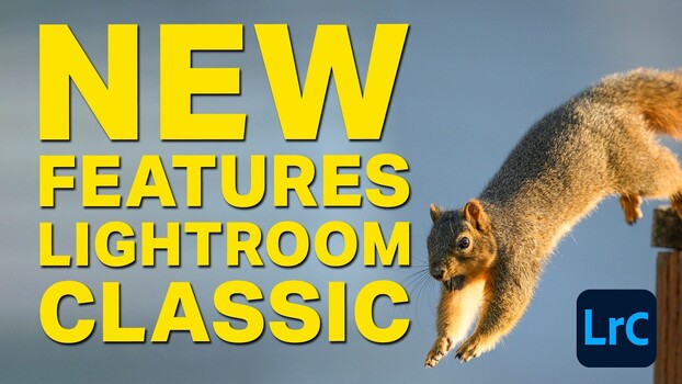 Lightroom Classic 15.5: Reshape AI Masks