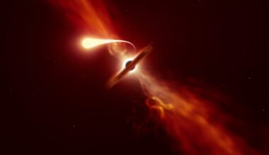 A star was torn apart about 30,000 light-years out from its galaxy's core, and astronomers cannot yet say whether the black hole that did it was flung there or is the last dense trace of a swallowed dwarf galaxy