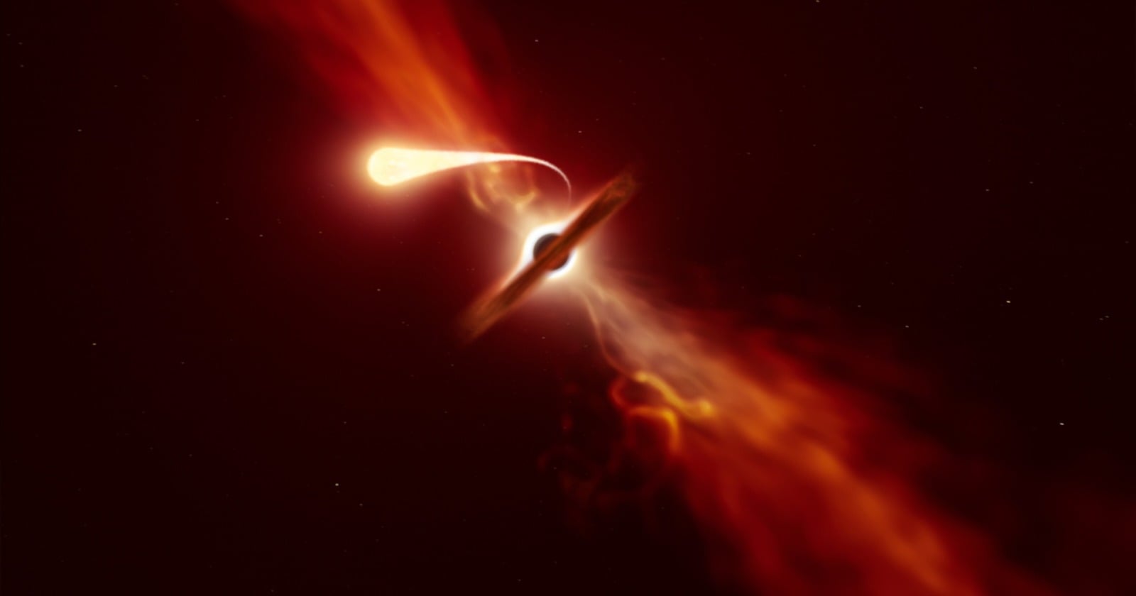 A star was torn apart about 30,000 light-years out from its galaxy's core, and astronomers cannot yet say whether the black hole that did it was flung there or is the last dense trace of a swallowed dwarf galaxy
