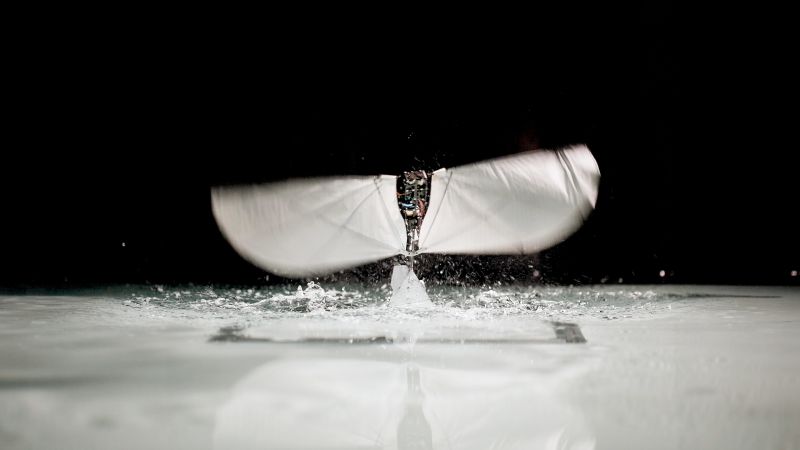 MIT unveils a flapping robot that flies and swims
