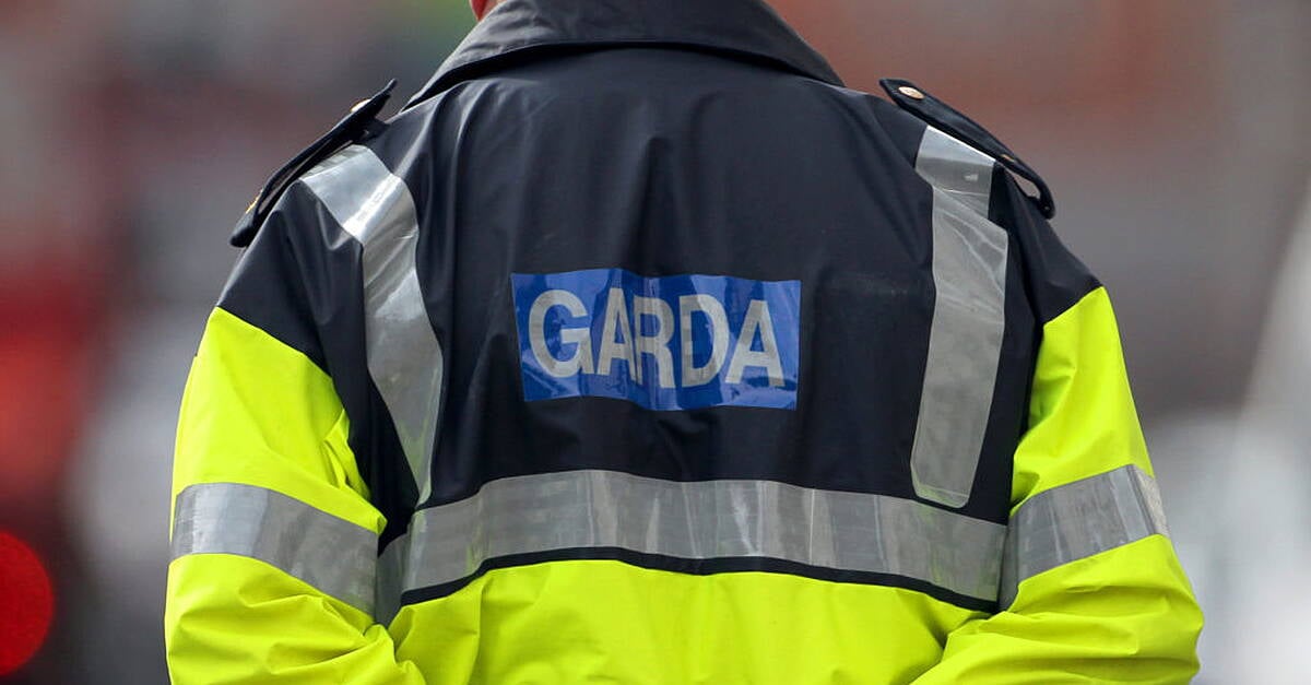 Two females injured after alleged assault in Ballyogan