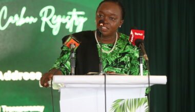 Kenya caps carbon credit exports in bid to protect its own climate targets