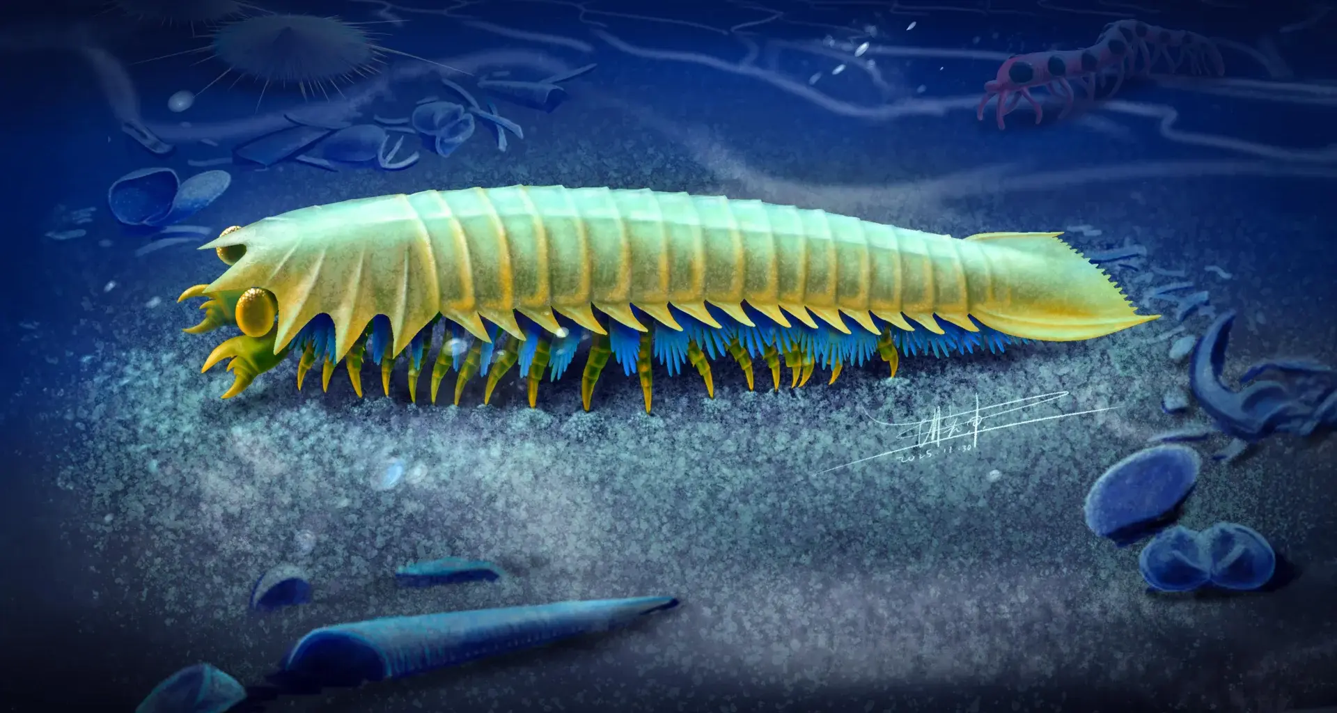 518-million-year-old creature reveals the origins of spider fangs