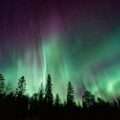 magnetic field
