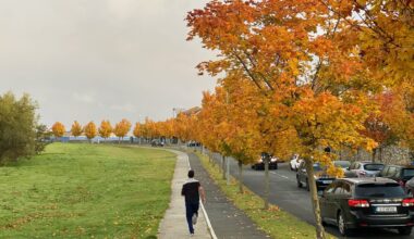 From sleep to spending, how autumn affects everything you do