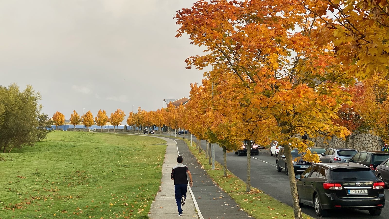 From sleep to spending, how autumn affects everything you do