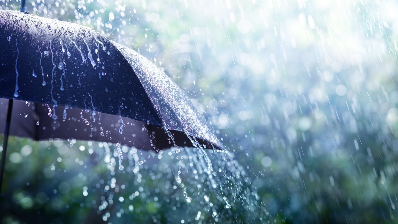 Status Orange rain warning in effect for three counties