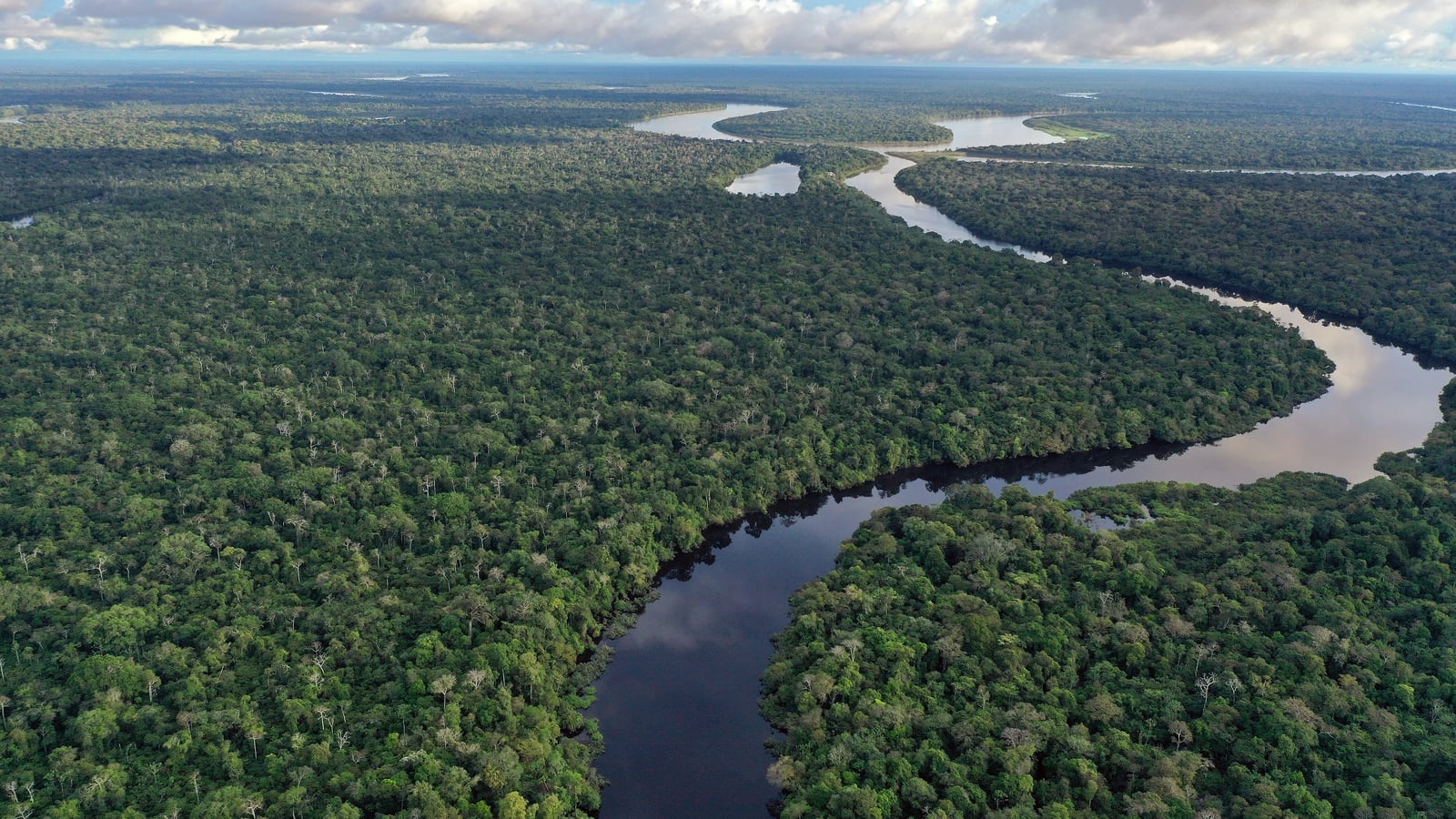 World rivers experience driest year in decades