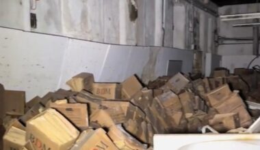 HSE fined €645k over records covered in animal droppings