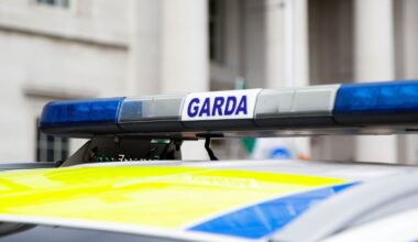Boy appears in court after car driven wrong way on M50