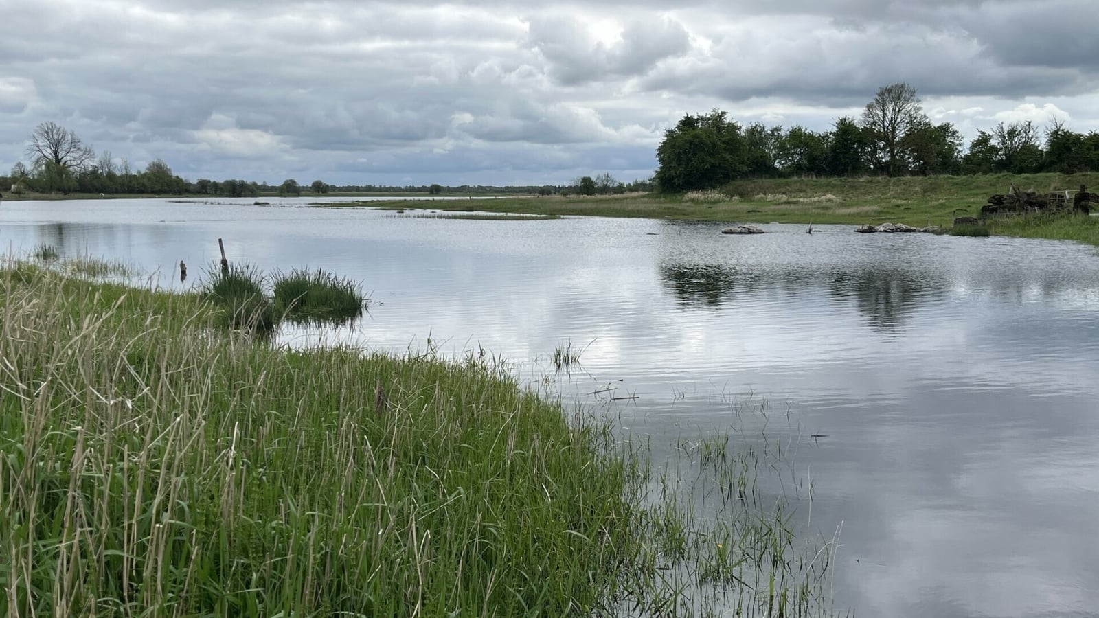 Nitrate pollution rises in Ireland's major rivers