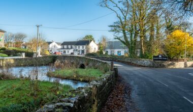 Riverstown, Blackrock win gold medals in Entente Florale