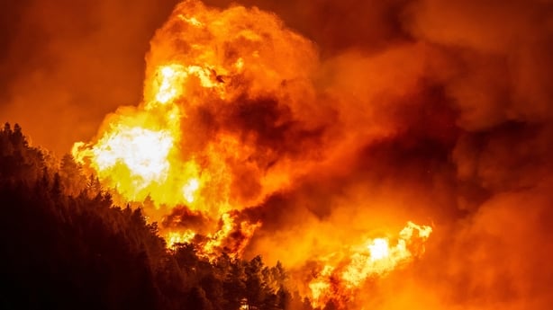 A wooden area engulfed in flames during a raging wildfire near the town of Omis, some 30 kilometres south of Split