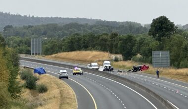 Gardaí 'acted appropriately' prior to M9 crash