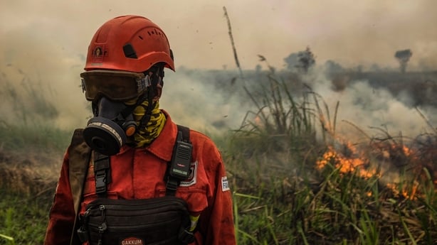 Personnel from the Joint Karhutla Task Force work to extinguish a peatland fire in Ogan Ilir, South Sumatra