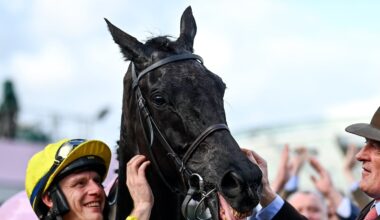 Cheltenham great Galopin Des Champs dies aged 10
