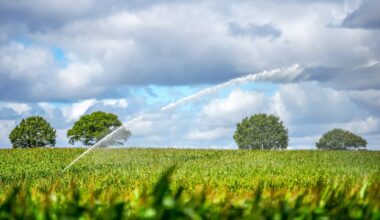 World food prices at highest point since 2022