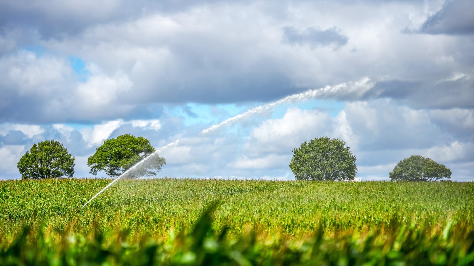 World food prices at highest point since 2022