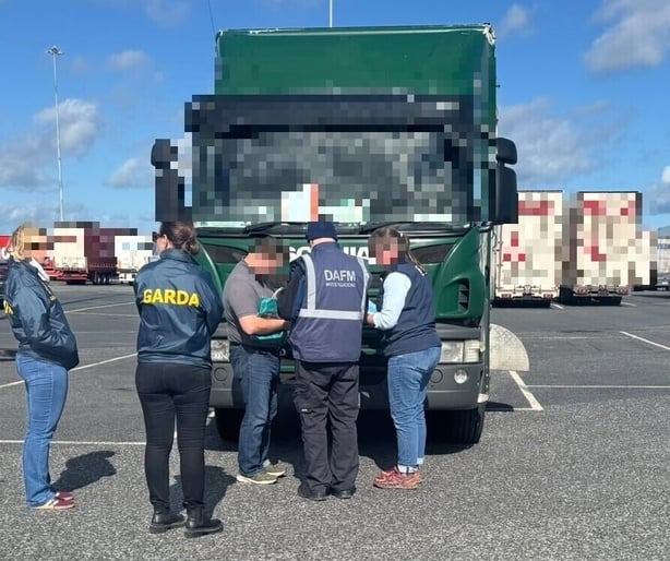 Searches in Ireland as part of a European operation targeting a horse trafficking network
