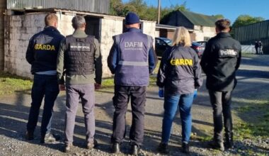 Searches in Ireland targeting horse trafficking network