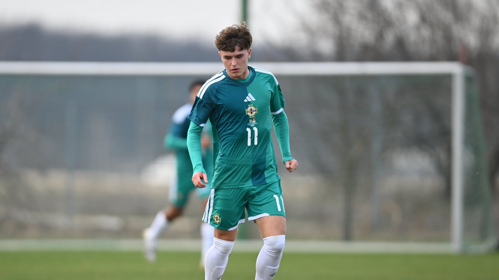 Much sought-after O'Neill named in N Ireland squad